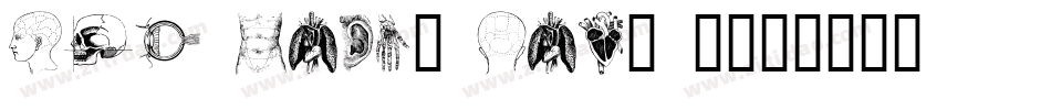 the body, vol. I字体转换